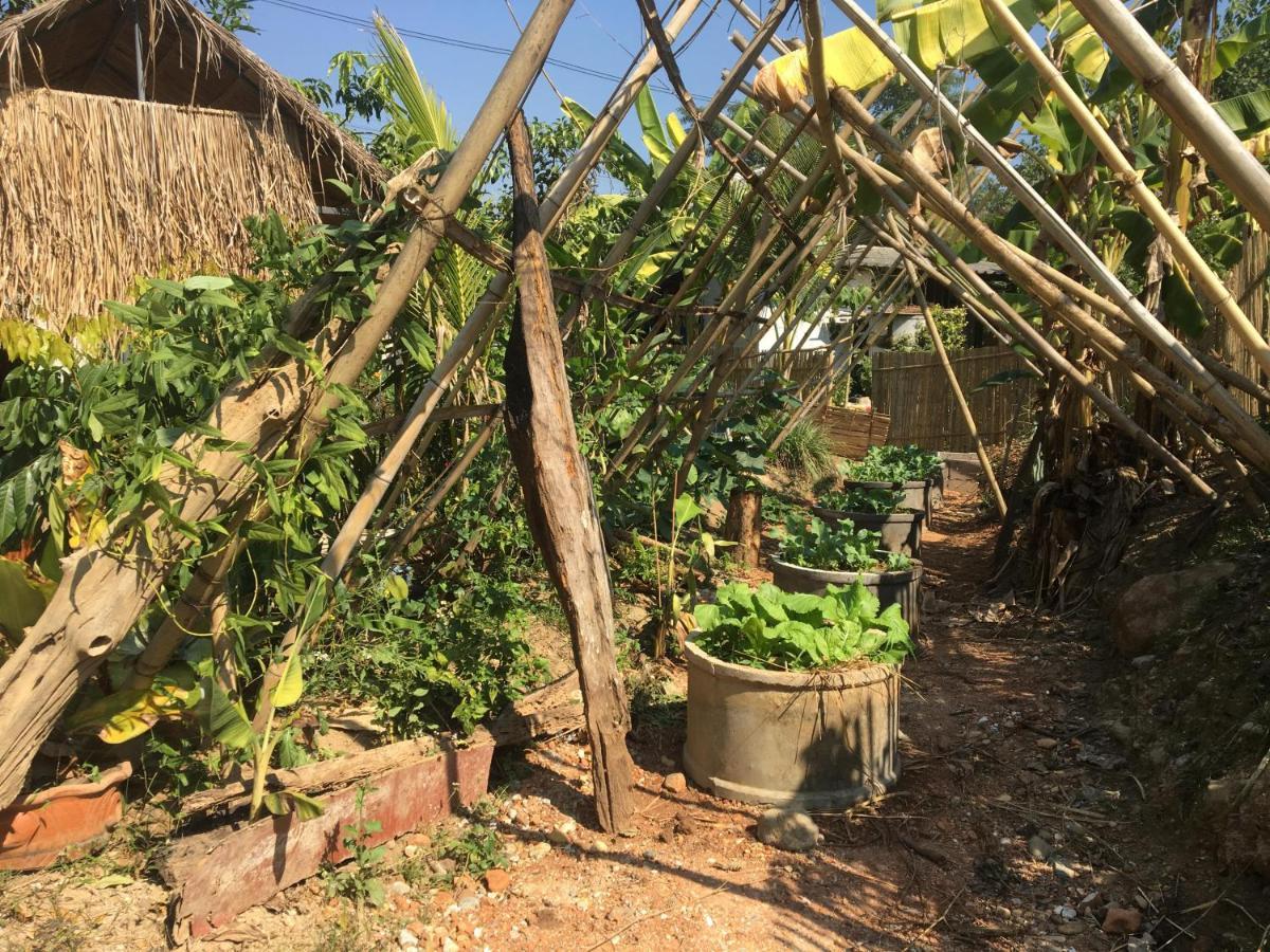 Thong Family Homestay Chiangdao チェンダオ エクステリア 写真