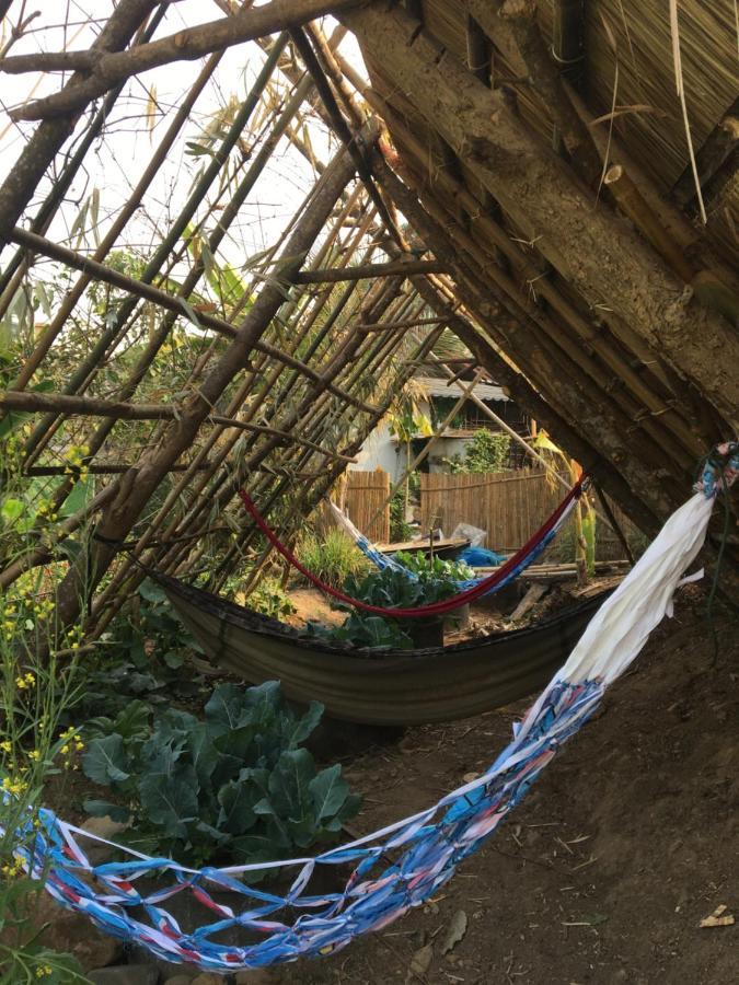 Thong Family Homestay Chiangdao チェンダオ エクステリア 写真