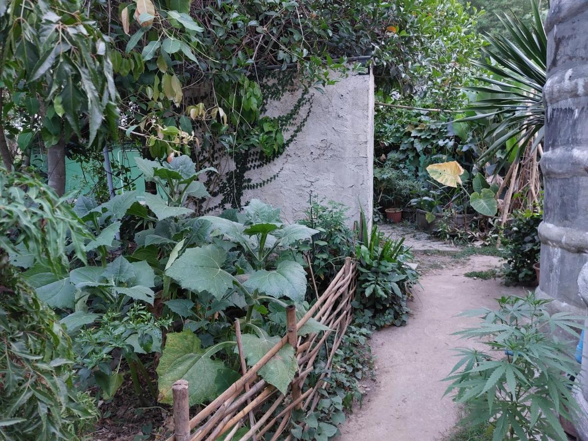 Thong Family Homestay Chiangdao チェンダオ エクステリア 写真