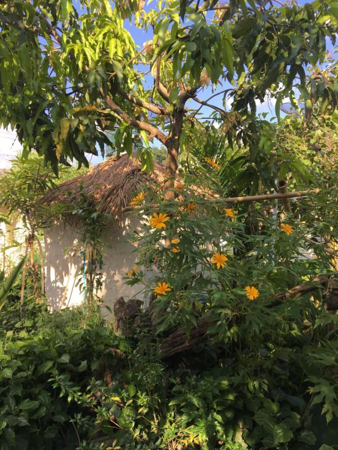 Thong Family Homestay Chiangdao チェンダオ エクステリア 写真